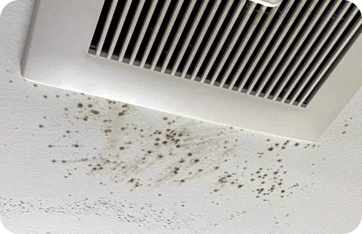 Humidity Contributing to Mold in Your Home